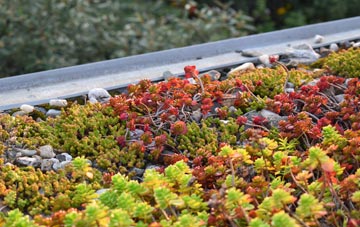 the cost of Lower Hordley green roof installation